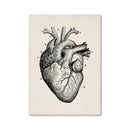 Vintage human anatomy eye diagram print cream office wall art by Decorbites