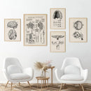 Vintage human anatomy foot skeleton canvas print bedroom wall art by Decorbites