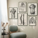 Vintage human anatomy foot skeleton canvas print bedroom wall art by Decorbites