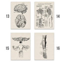 Vintage human anatomy foot skeleton canvas print bedroom wall art by Decorbites
