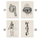 Vintage human anatomy ribcage canvas print office wall art by Decorbites