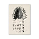 Vintage human anatomy canvas print – bedroom wall art by Decorbites