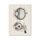 Vintage human anatomy canvas print – bedroom wall art by Decorbites