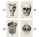 Vintage human anatomy brain canvas print for study or living room by Decorbites