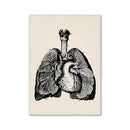 Vintage human anatomy canvas print – bedroom wall art by Decorbites