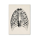Vintage human anatomy stomach canvas print dining room wall art by Decorbites