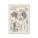 Vintage human anatomy stomach canvas print dining room wall art by Decorbites