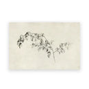 Vintage sepia botanical branch canvas print – living room summer landscape