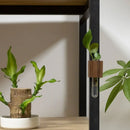 GobekUsa Wooden Magnetic Test Tube Vase for DIY Flower Arrangement