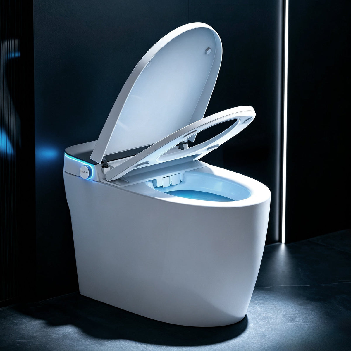 Smart Toilets with Heated Bidet Seat, photo 2 of 10