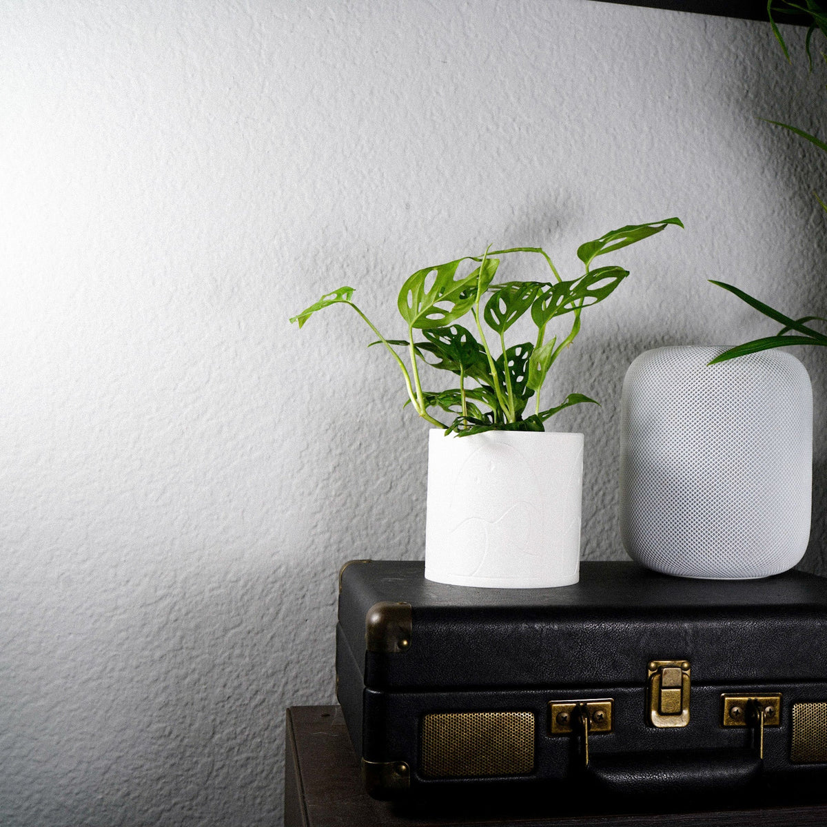 Desert Scape Planter, photo 8 of 11