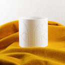 Desert Scape Planter