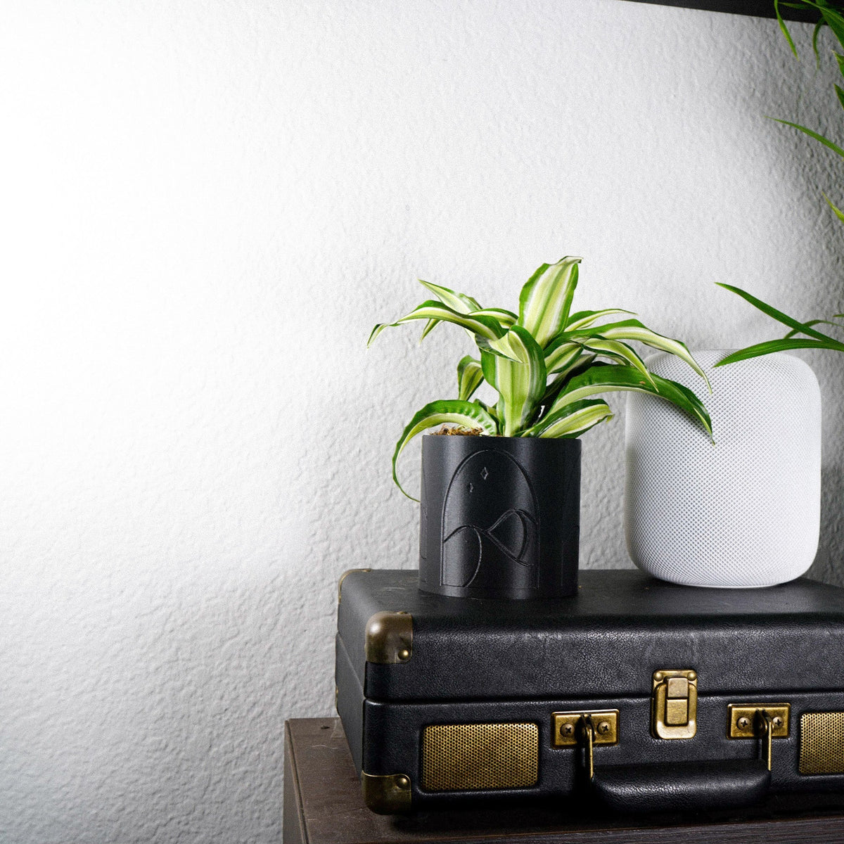Desert Scape Planter, photo 4 of 11