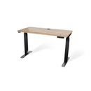 Atlas 48" Motorized Height Adjustable Standing Desk