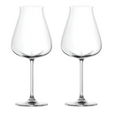 Desire Robust Red Wine Glasses - Set of 2 (700 mL / 24 fl. oz.)