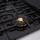 48" Slide-in Freestanding Professional Style Gas Range with 6.7 Cu. Ft. Oven, 8 Burners, AK-JK48A1-B