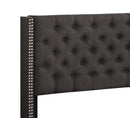 Nailhead Bed Transitional Vibrant by HouseOfZazla