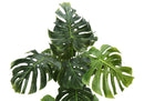 55" Tall, Artificial Plant, Monstera Tree, Indoor, Faux, Fake, Floor, Greenery, Potted, Real Touch, Decorative - Green / Black by Unique Piece Furniture