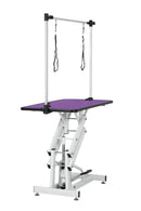 Hydraulic Pet Grooming Table With "H" Arm by HouseOfZazla