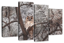 Great Horned Owl Wall Art