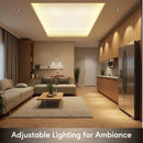 Dimmable 150W Halogen Lamp Transformer with Auto Restart | 3 Year Warranty