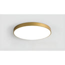Dimmable Smart Ceiling Lamp with Remote - Bedroom & Living Room LED Light