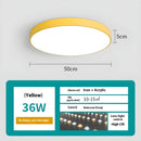 Dimmable Smart Ceiling Lamp with Remote - Bedroom & Living Room LED Light