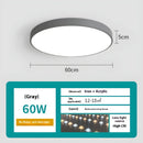 Dimmable Smart Ceiling Lamp with Remote - Bedroom & Living Room LED Light