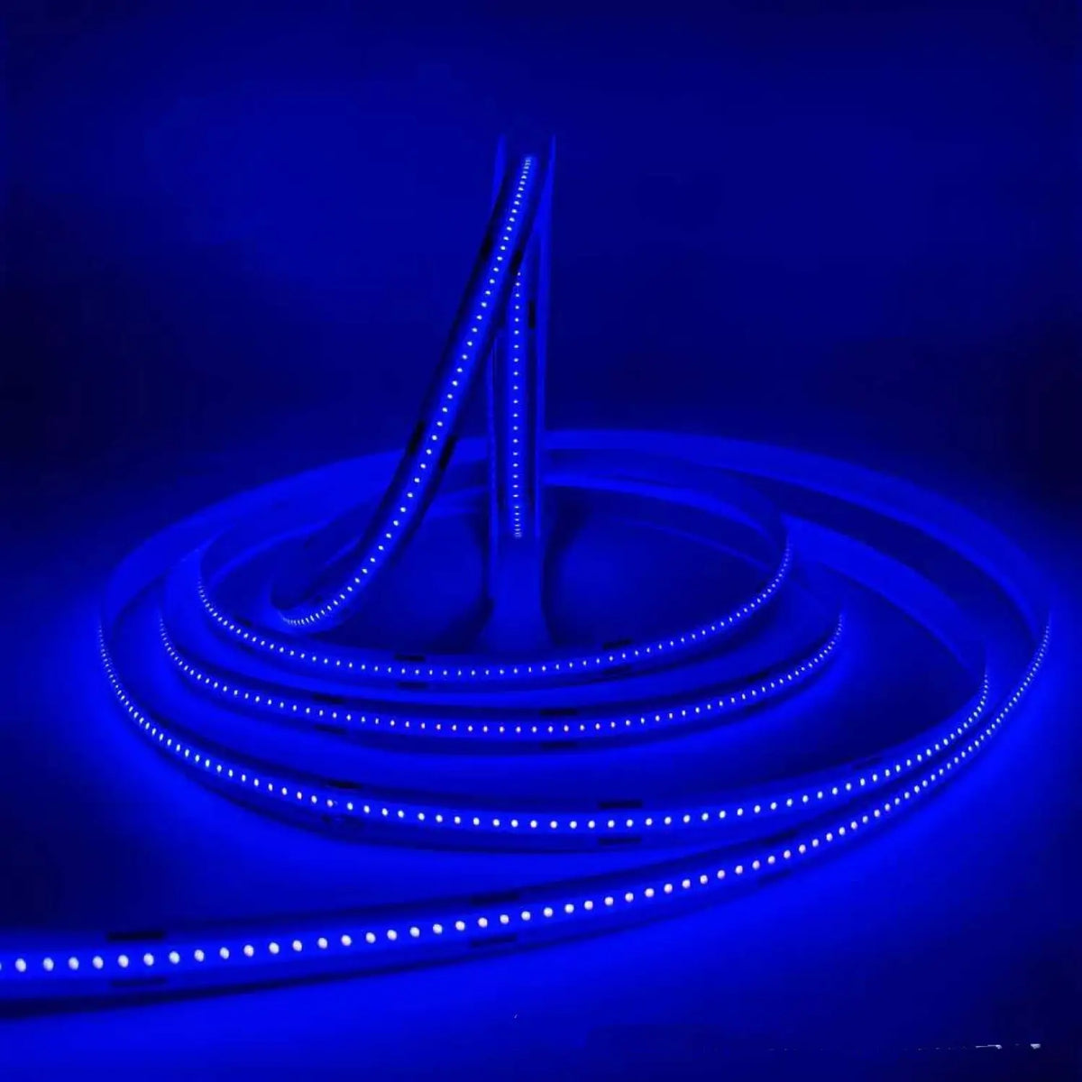 Dimmable Soft LED Strip Lights 12 Volt – No Dark Areas, Smooth Glow, photo 6 of 20