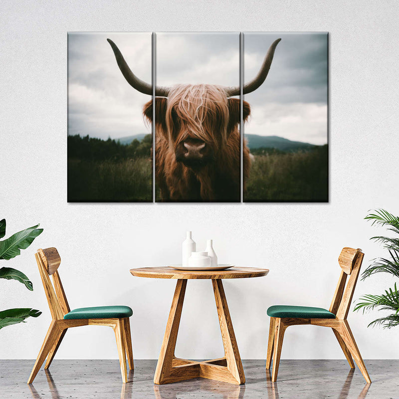 Open Field Highland Cow Wall Art