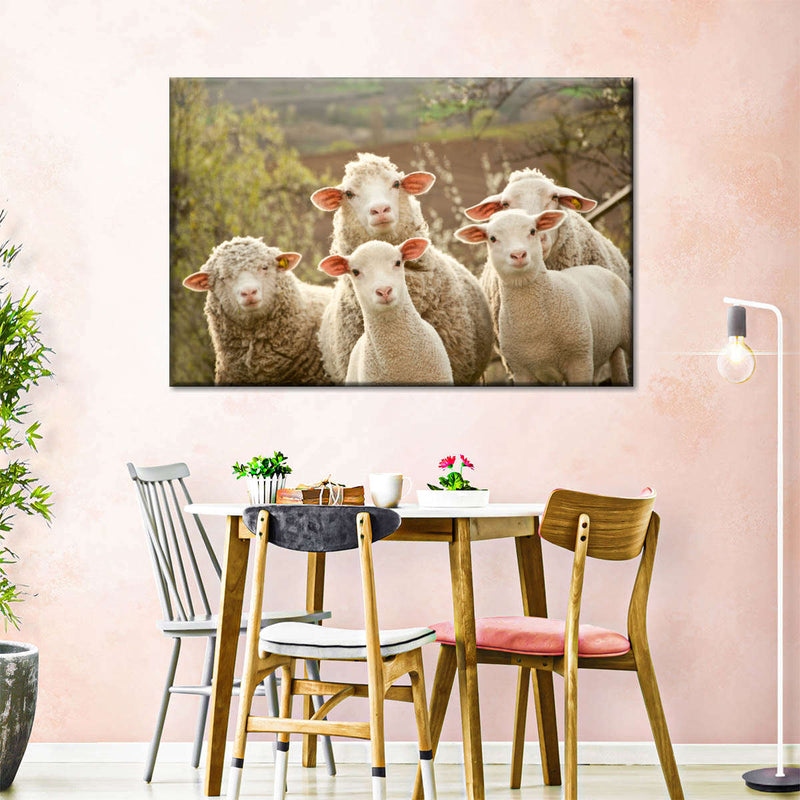 Stunned Sheep Wall Art