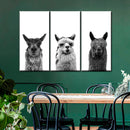 Trio Alpaca Wall Art