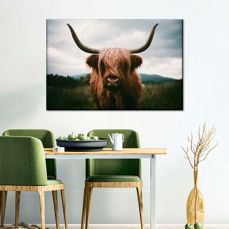 Open Field Highland Cow Wall Art