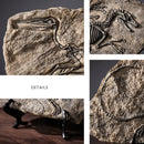 GobekUsa Dinosaur Fossil Resin Craft Figurine | Home Office Sculpture Decoration