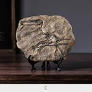 GobekUsa Dinosaur Fossil Resin Craft Figurine | Home Office Sculpture Decoration