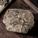 GobekUsa Dinosaur Fossil Resin Craft Figurine | Home Office Sculpture Decoration