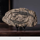 GobekUsa Dinosaur Fossil Resin Craft Figurine | Home Office Sculpture Decoration