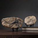 GobekUsa Dinosaur Fossil Resin Craft Figurine | Home Office Sculpture Decoration