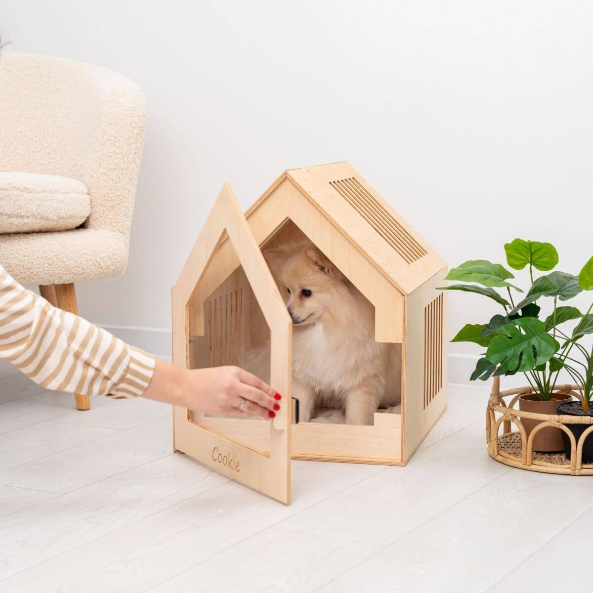 Small Indoor Dog House, photo 8 of 16