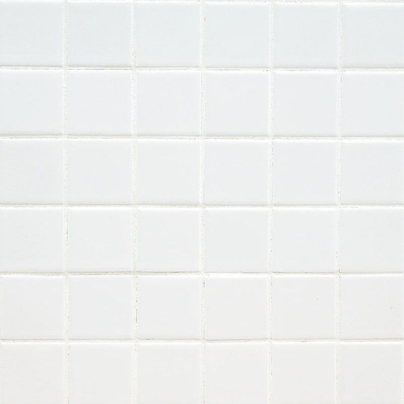 MSI Domino White 2x2 Tile - Matte