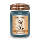 Doodle's Delight™ - Large Jar Candle (Collective)