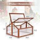 Double Box Garden Wooden Greenhouse by LJGDeals