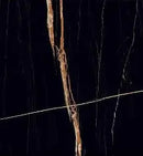 Sahara Black Raphael Porcelain