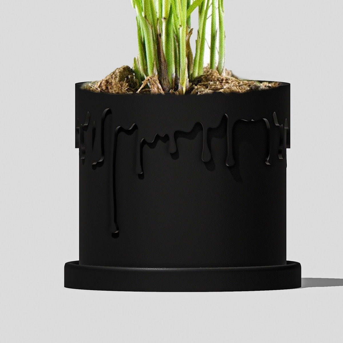Drip Planter, photo 7 of 15