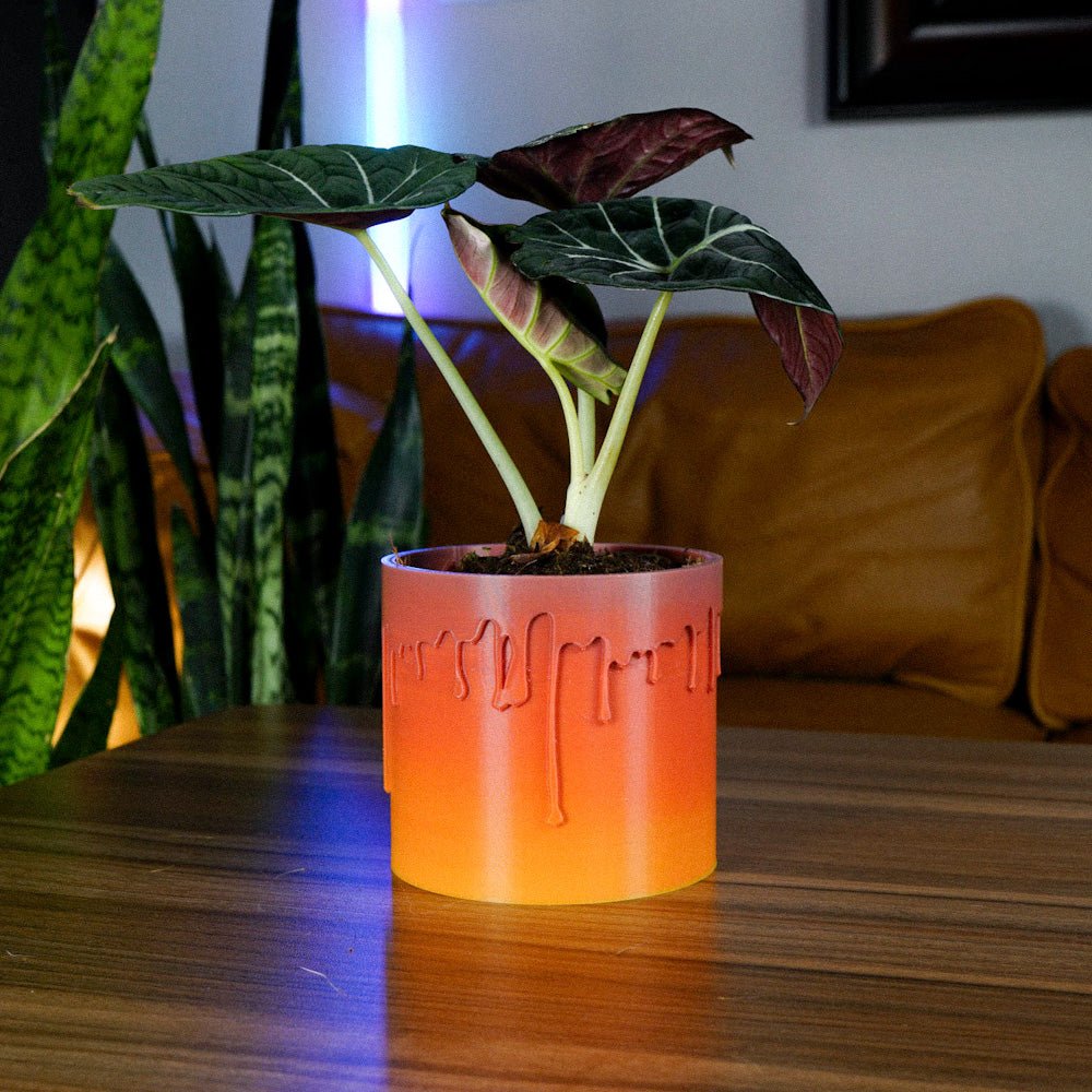 Drip Planter, photo 5 of 15