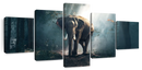 African Forest Elephant Wall Art