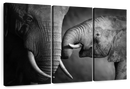 Elephant Affection Wall Art