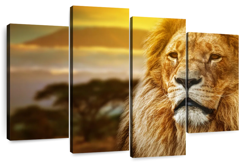 Lion In African Safari Wall Art