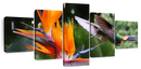 Flying Hummingbird Wall Art