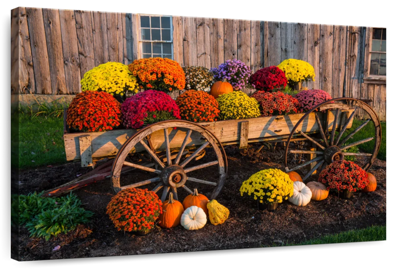 Flower Vending Stall Wall Art